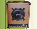 Amplifiers Battery Powered 30 Watts